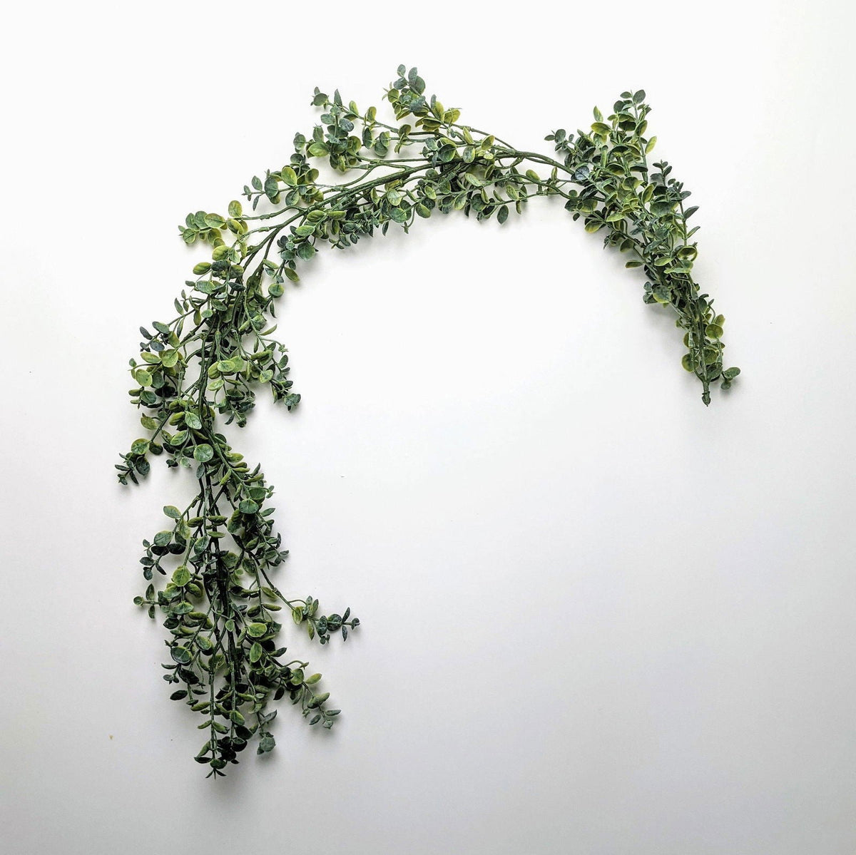 Fractalon Cascading Faux Peperomia Hanging Plant