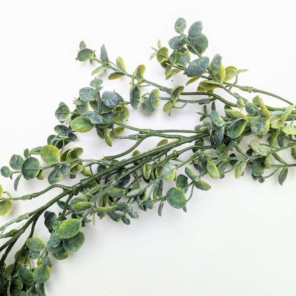 Fractalon Cascading Faux Peperomia Hanging Plant