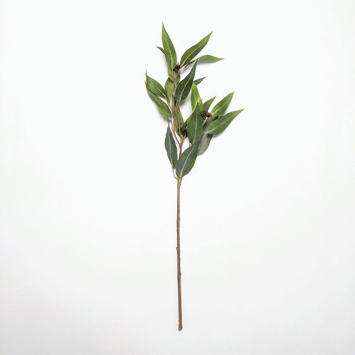 Fractalon Classic Evergreen Eucalyptus Branch