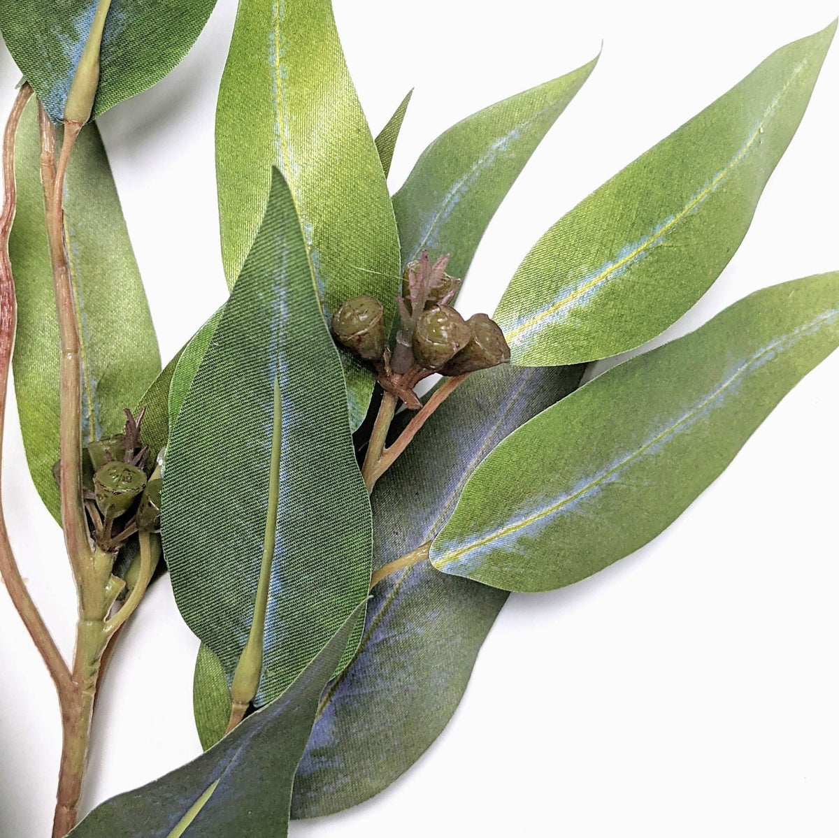 Fractalon Classic Evergreen Eucalyptus Branch
