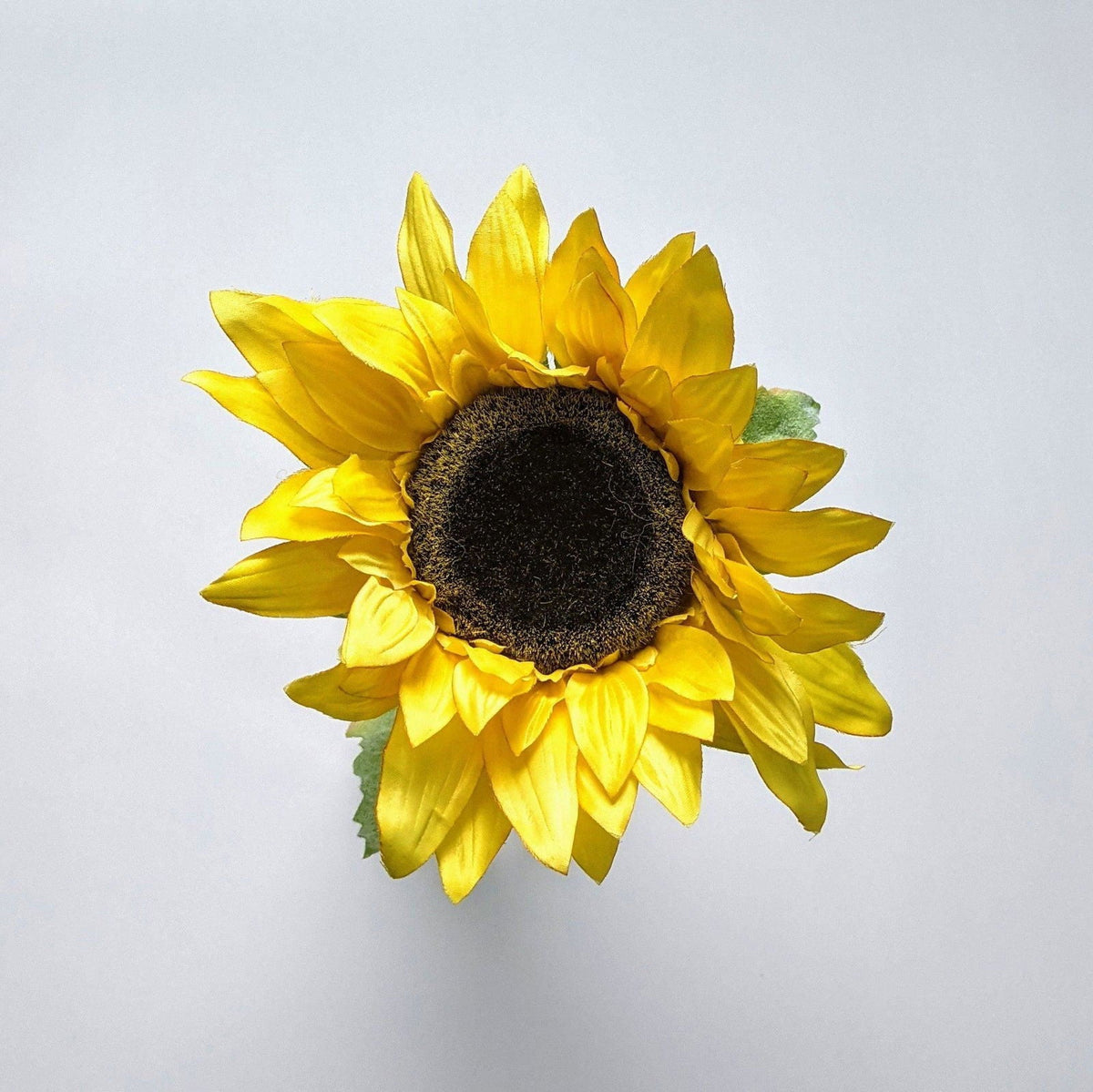 Fractalon Giant Sunny Yellow Faux Sunflower
