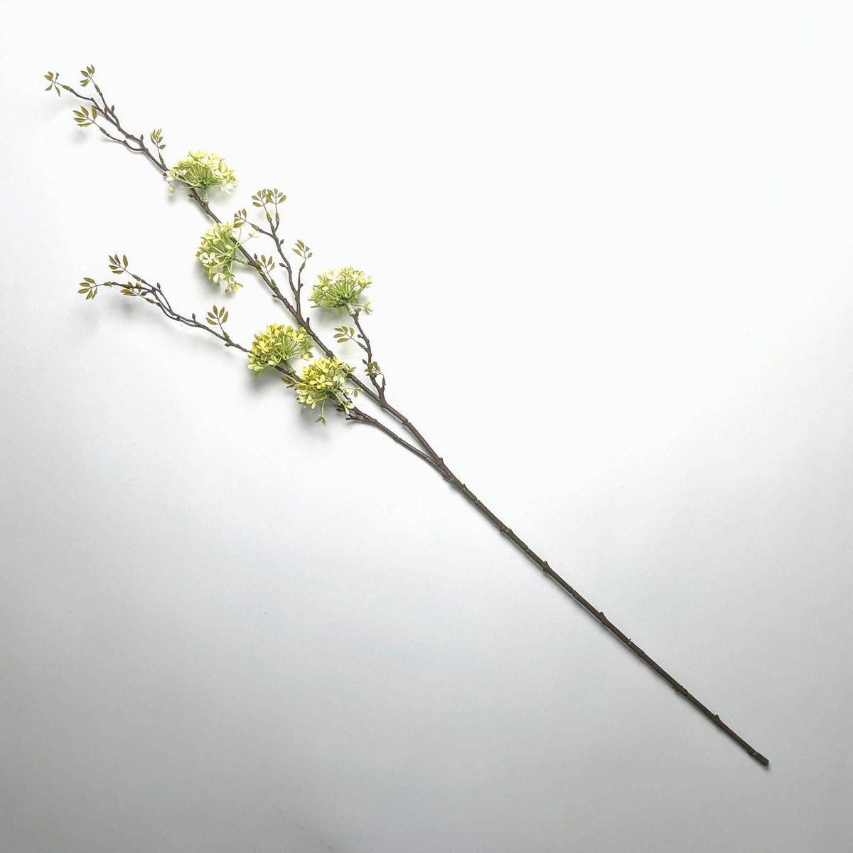 Fractalon Golden Forsythia Tall Branch Stem