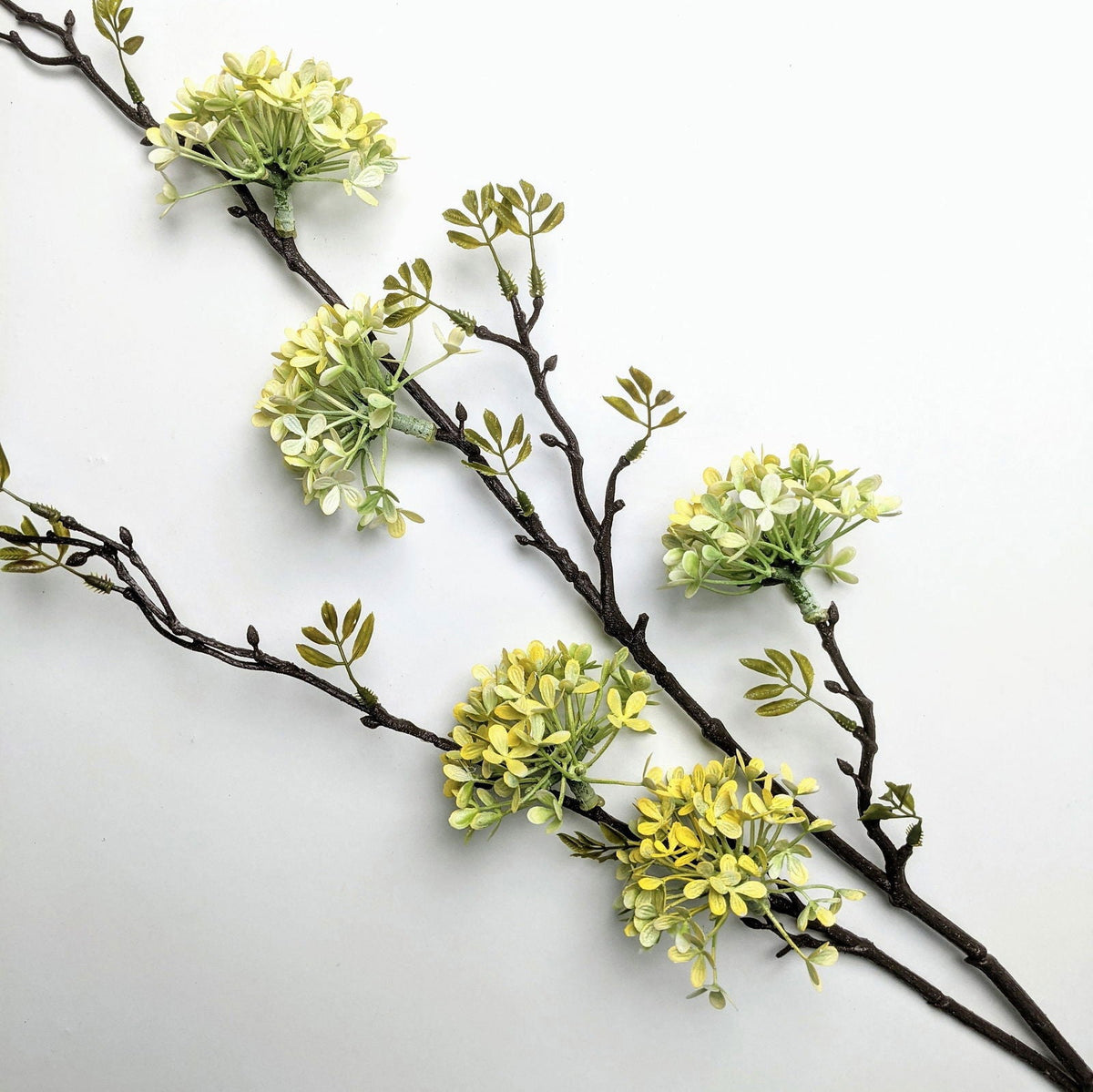 Fractalon Golden Forsythia Tall Branch Stem