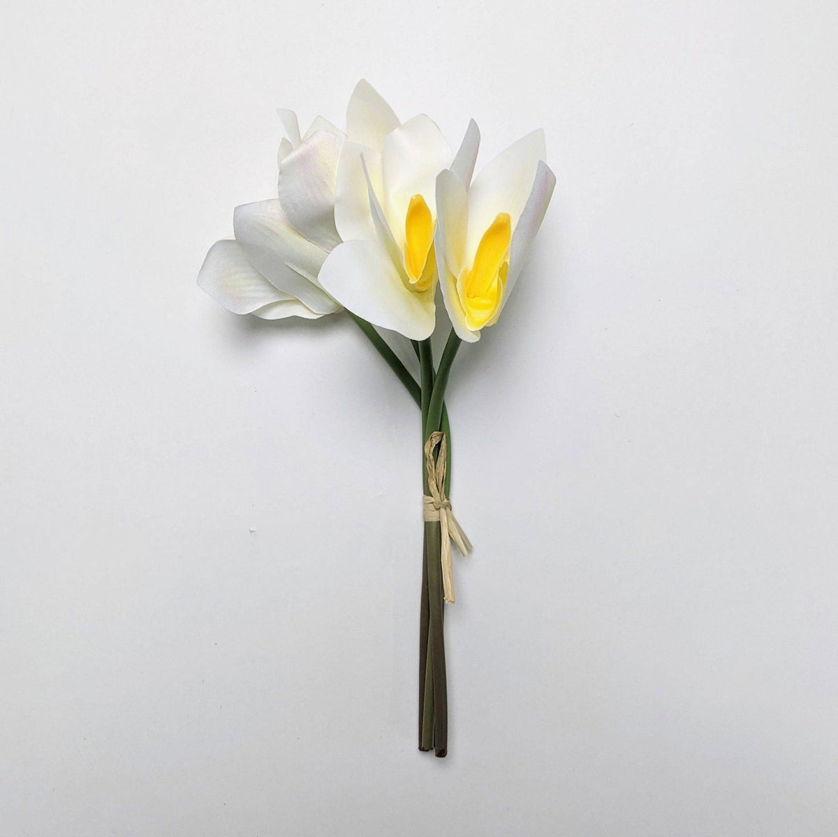 Fractalon Pure White Silk Orchid Arrangement