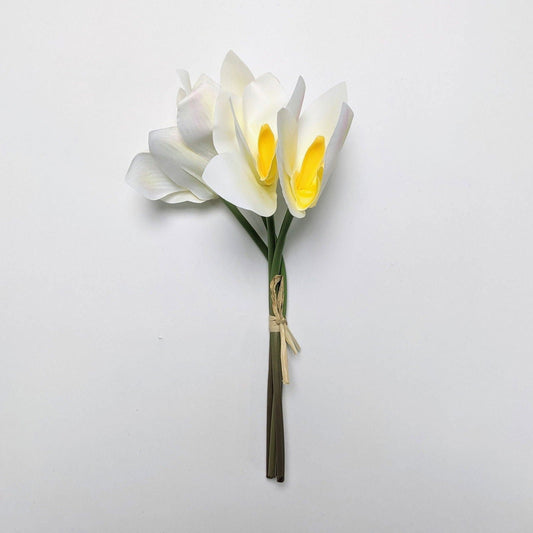 Fractalon Pure White Silk Orchid Arrangement