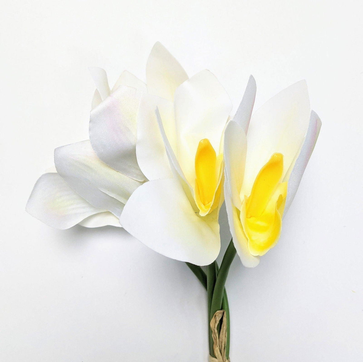 Fractalon Pure White Silk Orchid Arrangement